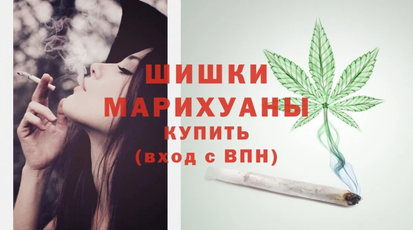 PSILOCYBIN Верхний Тагил